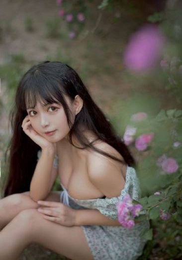 吸血鬼骑士第二季