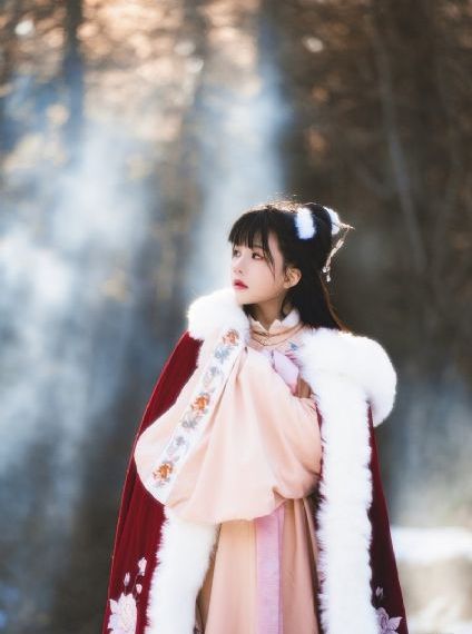欧美人与兽