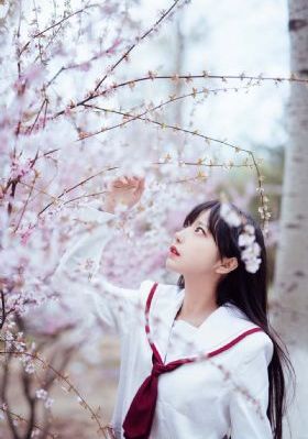 melody在线高清免费观看