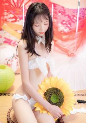 成人一级片视频